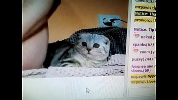 Play Camgirl masturbating next to scared cat