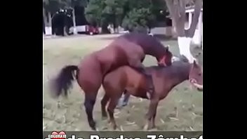 Play Funny horse